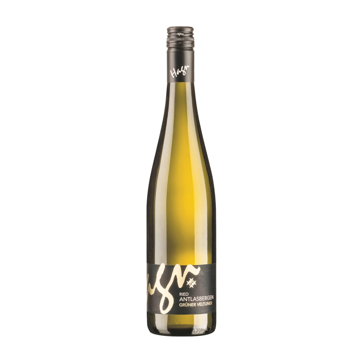 Hagn Grüner Veltliner Ried Antlasbergen 2024 13% Vol. 0.75L