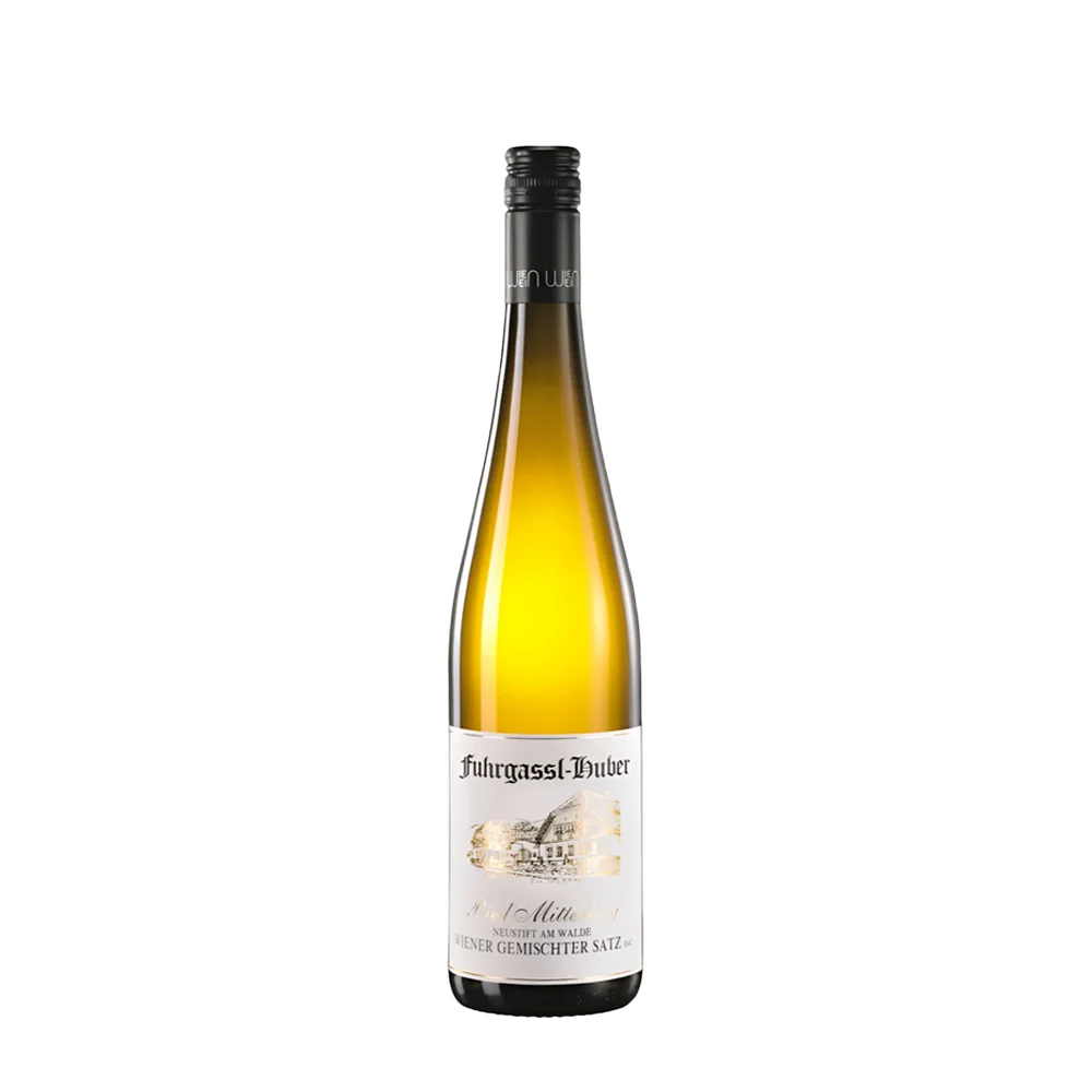 Weingut Braun Riesling Ried Nussberg Wien 2023