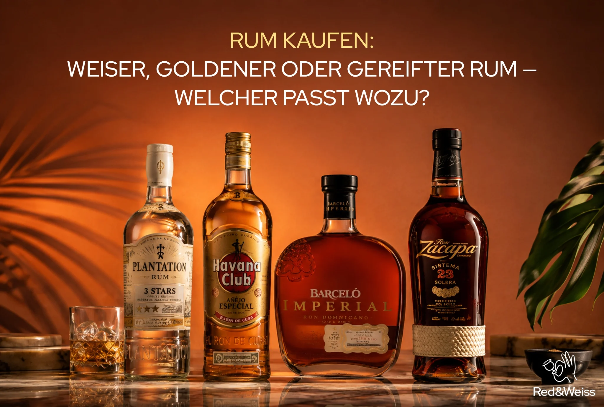 Rum kaufen: Weißer, goldener oder gereifter Rum?
